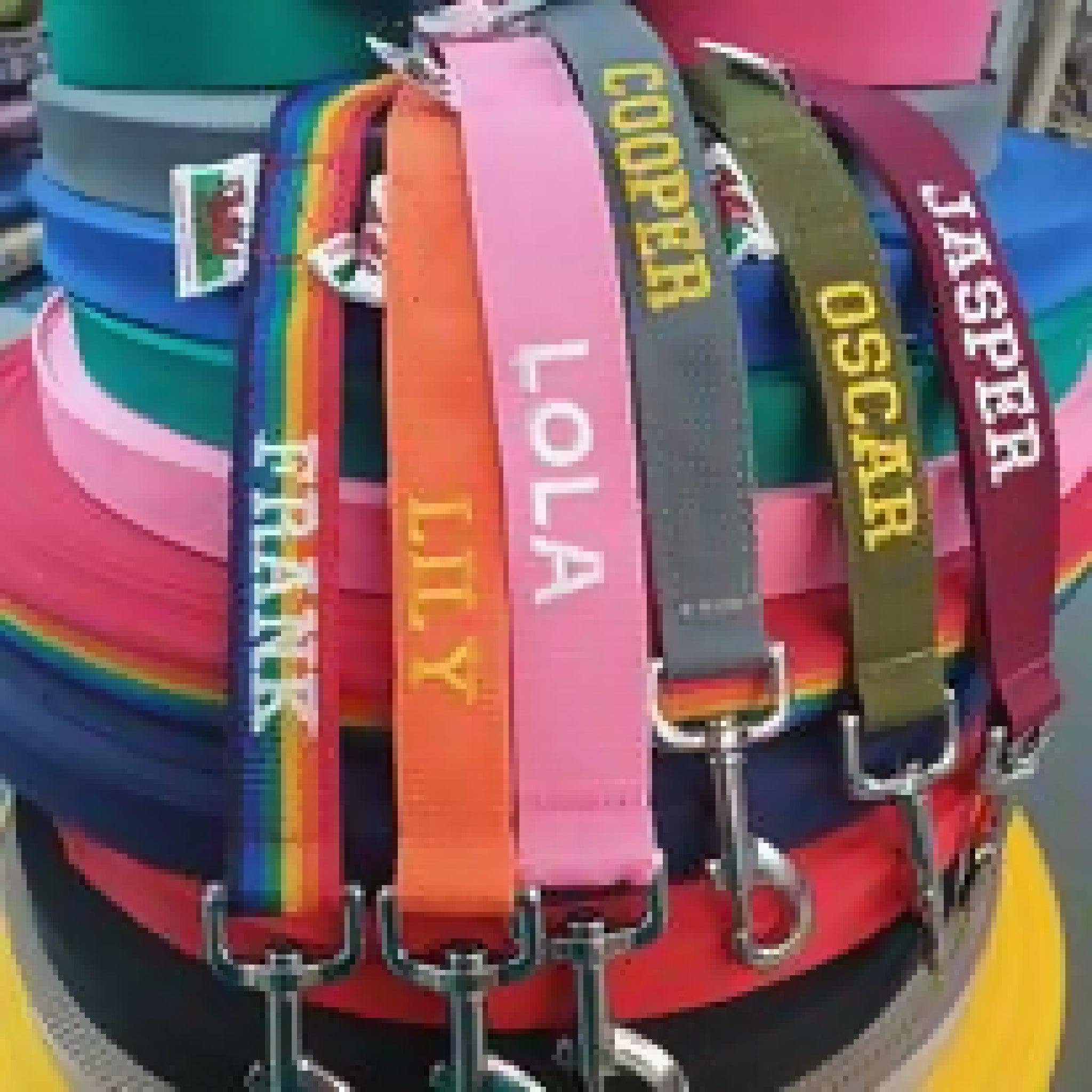 Dog leads and collars (with personalised option) made in North Wales