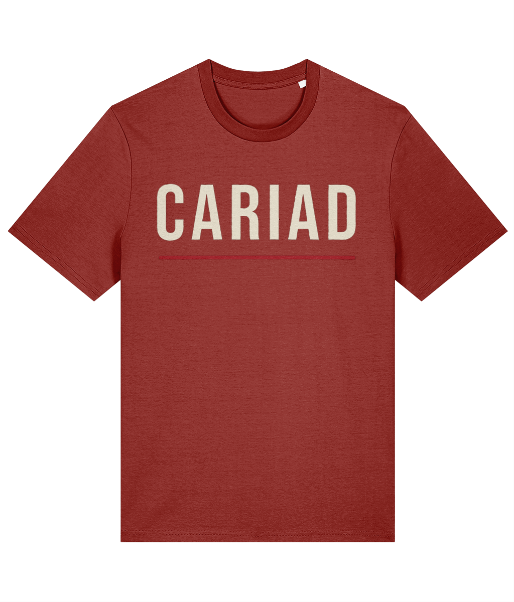 Made in Cymru Cariad Welsh T-Shirt in Earthy Red