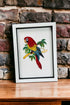 Parrot picture quilled