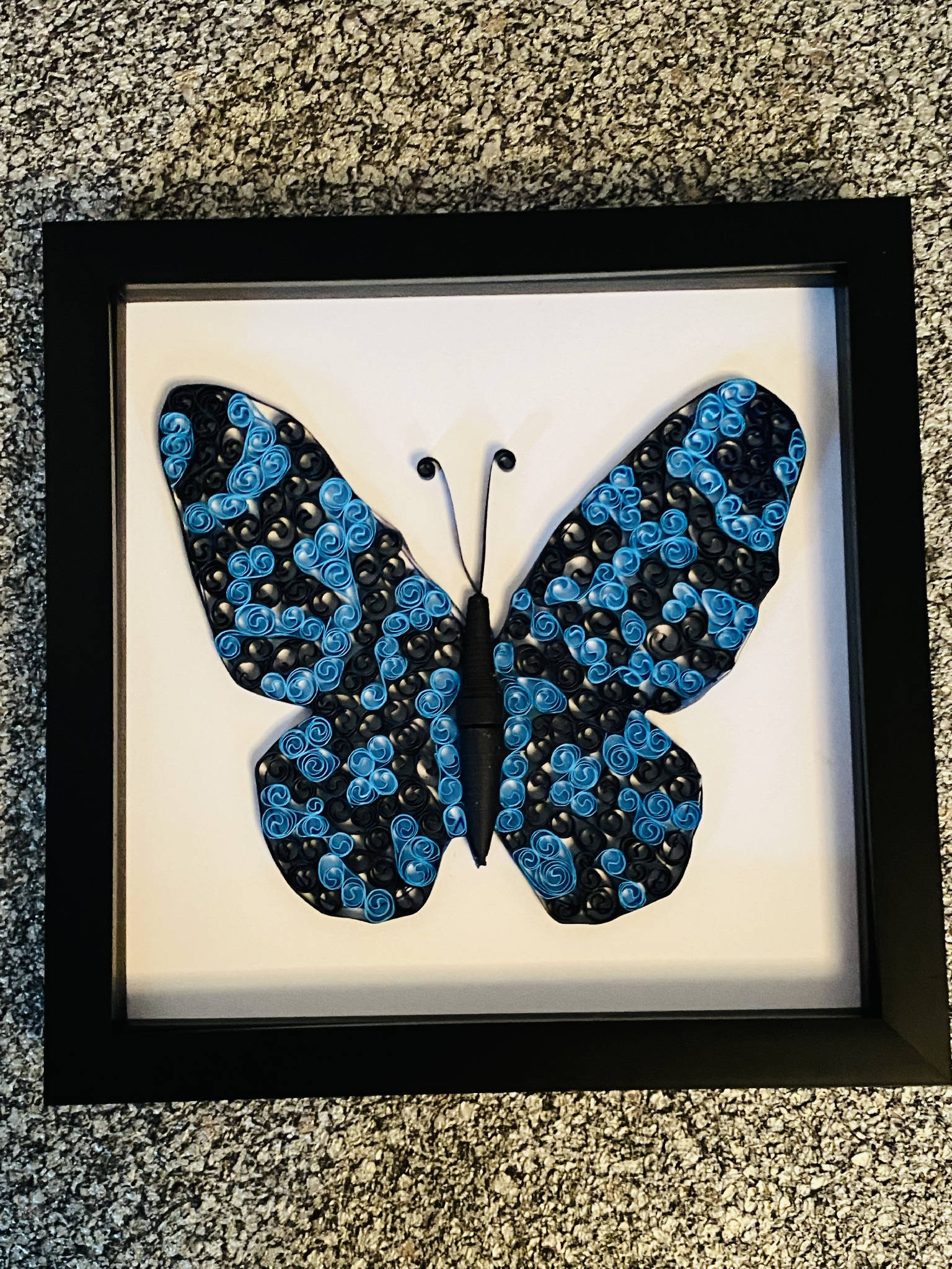Quilled blue butterfly art
