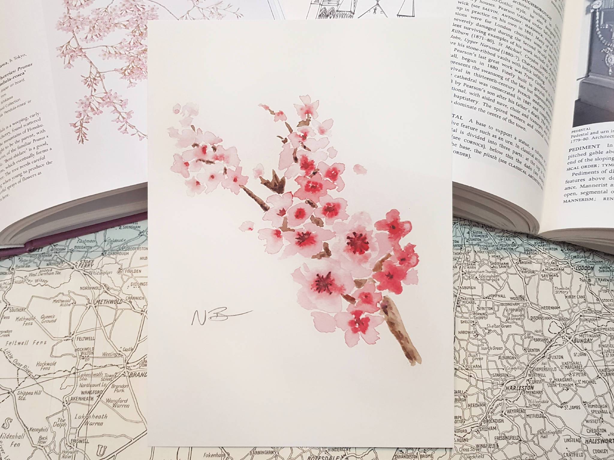 Hand-painted watercolour print of cherry blossom branch