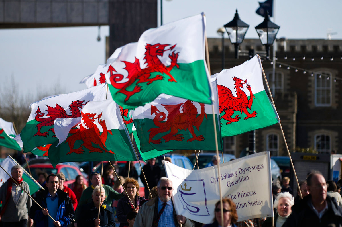 Welsh flags flying in Cardiff Bay on St David's Day