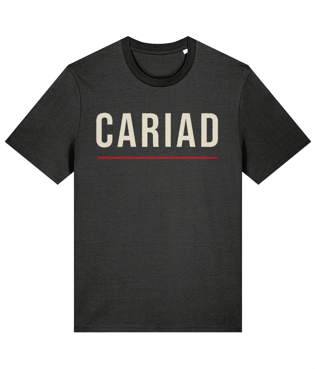 Made in Cymru Cariad Welsh T-Shirt in Dark Heather Grey