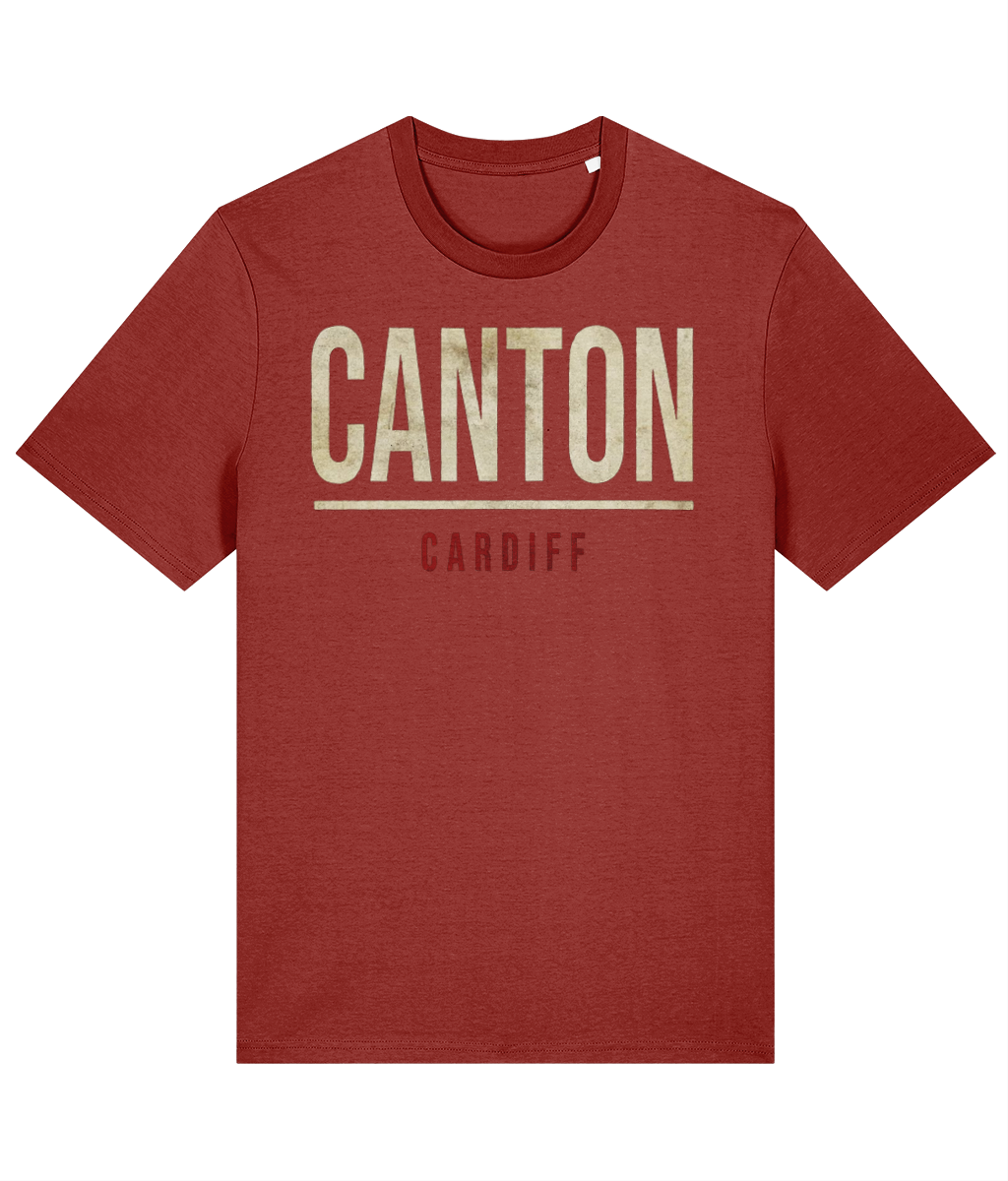Made in Cymru Canton Welsh T-Shirt in Earthy Red – organic cotton