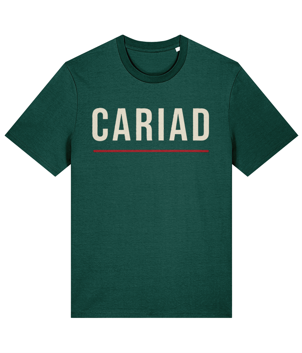 Made in Cymru Cariad Welsh T-Shirt in Glazed Green
