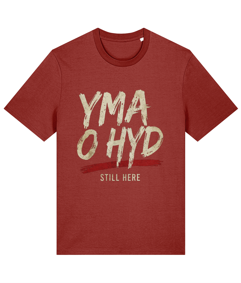 Made in Cymru Yma O Hyd Welsh T-Shirt in Earthy Red – organic cotton