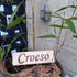 'Croeso' Sign