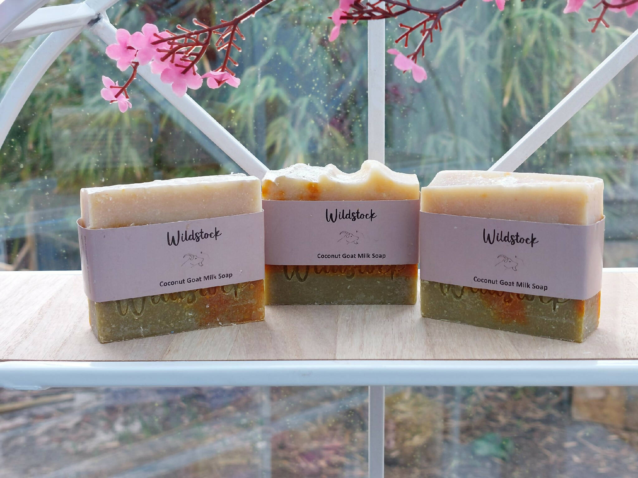 Wildstock 'Feeling Tropical' Goat Milk Soap Collection