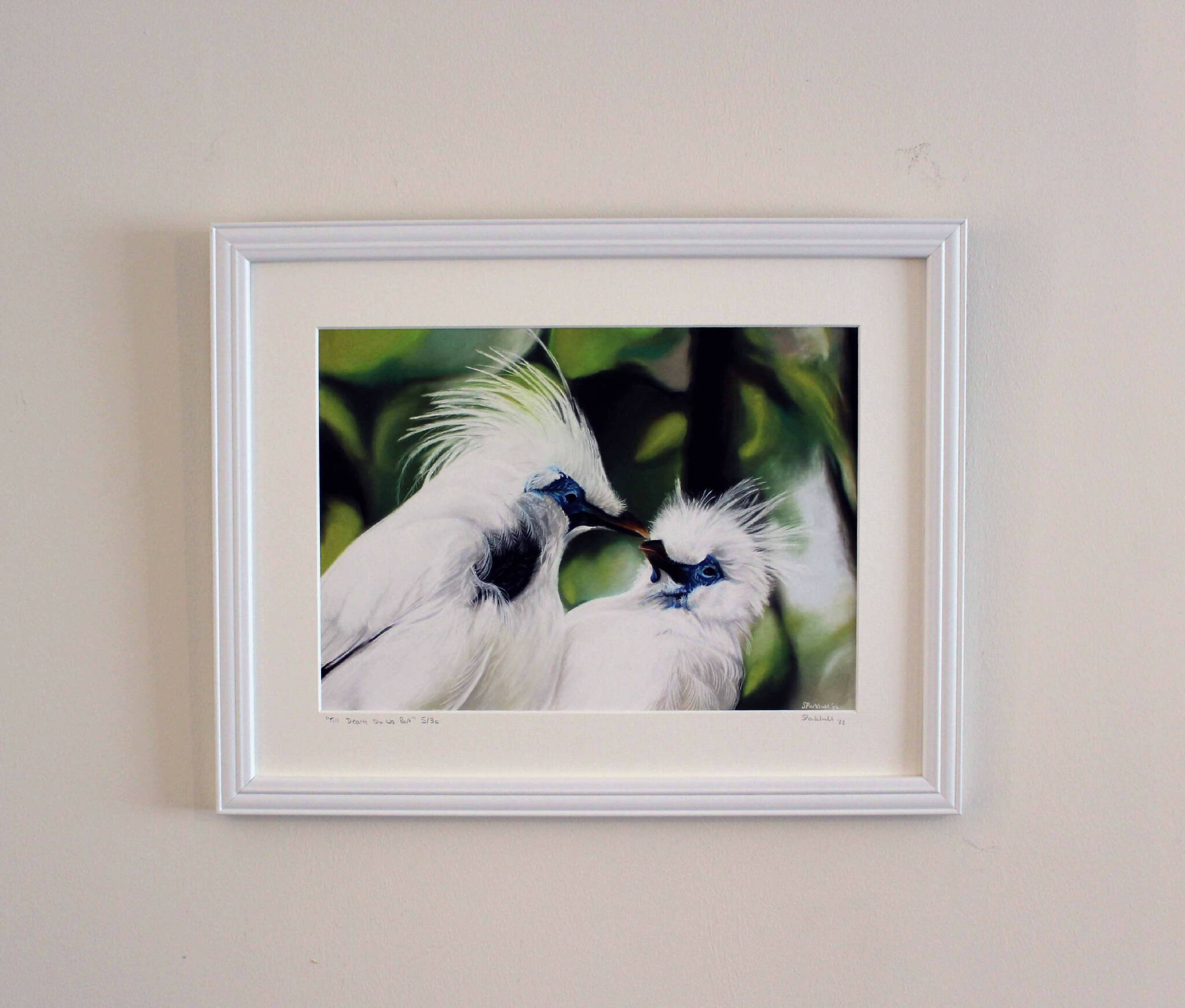 Bali Starlings Limited Edition Print - Till Death Do Us Part