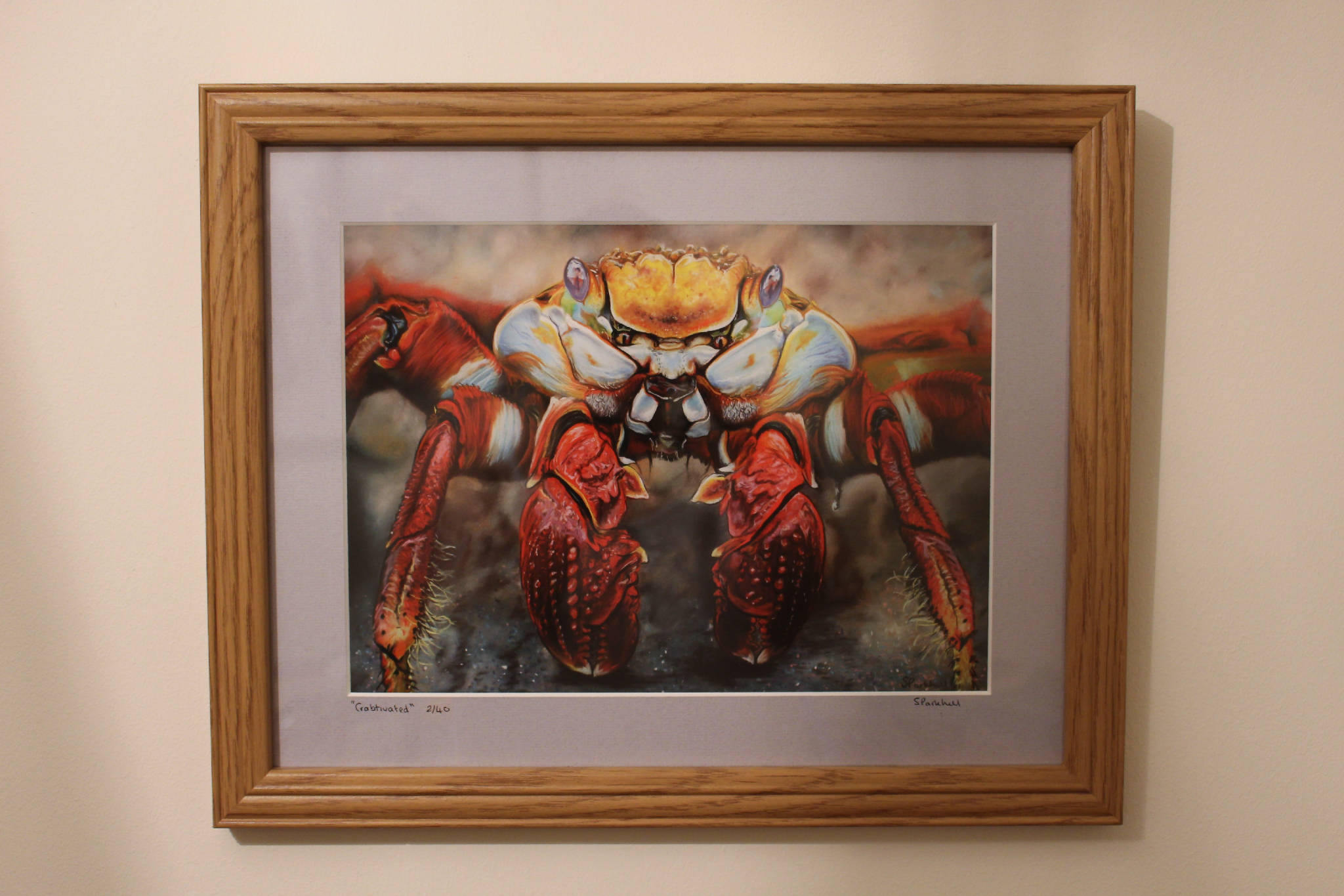 Sally Lightfoot Crab Limited Edition Print (Crabtivated)