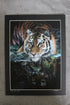 Tiger Painting Limited Edition Giclee Print *AWARD WINNING*