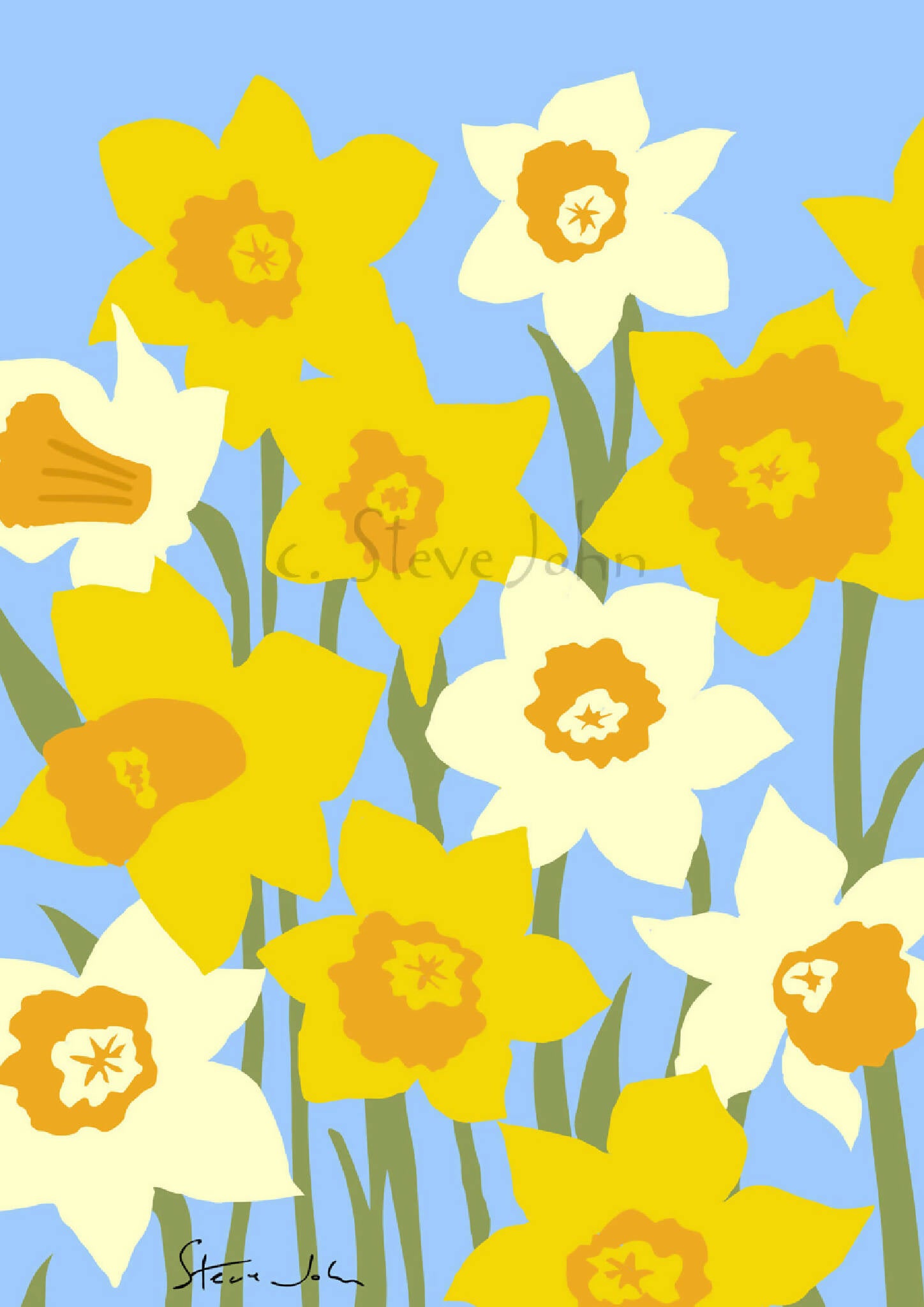 Daffodil Print A3 IN A 20" BY 16" mount, unframed