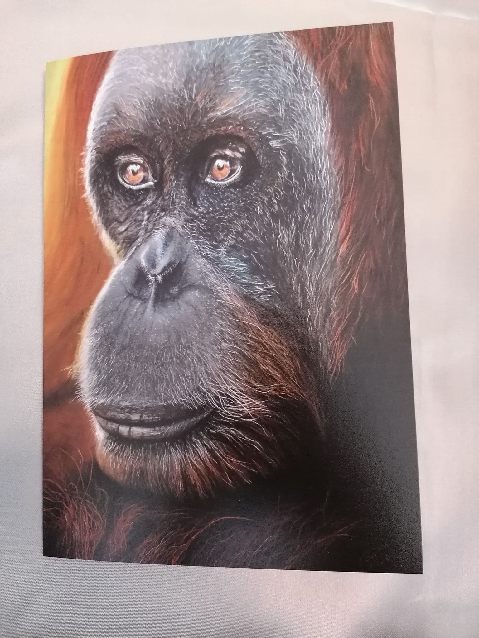 A5 Orangutan "The Wise One Art Print Card