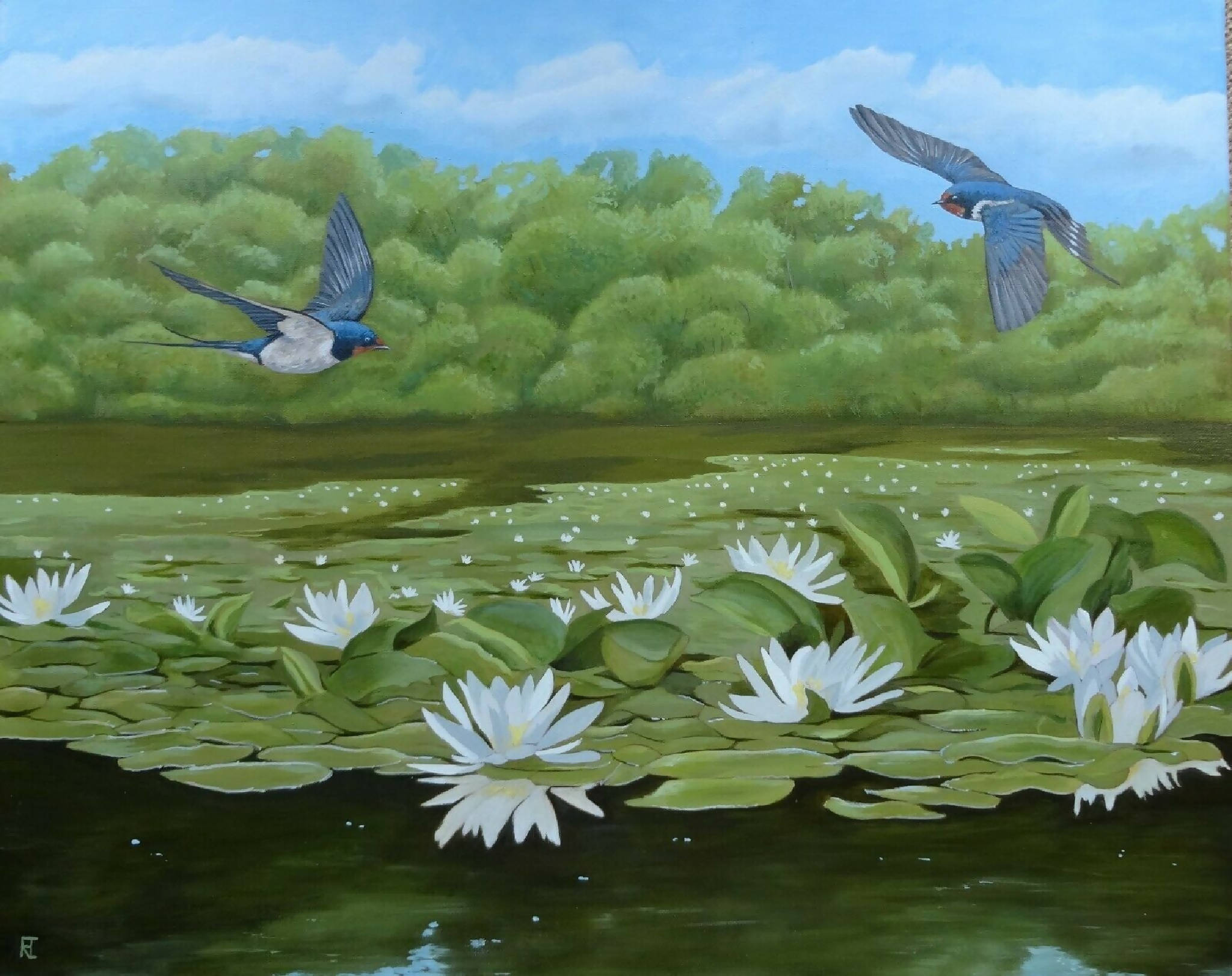 Swallows over the Lily Ponds