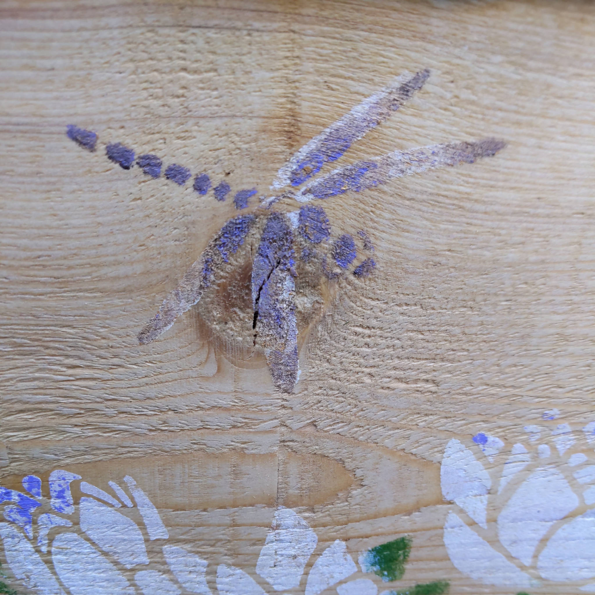 Dragonfly & Lily Art