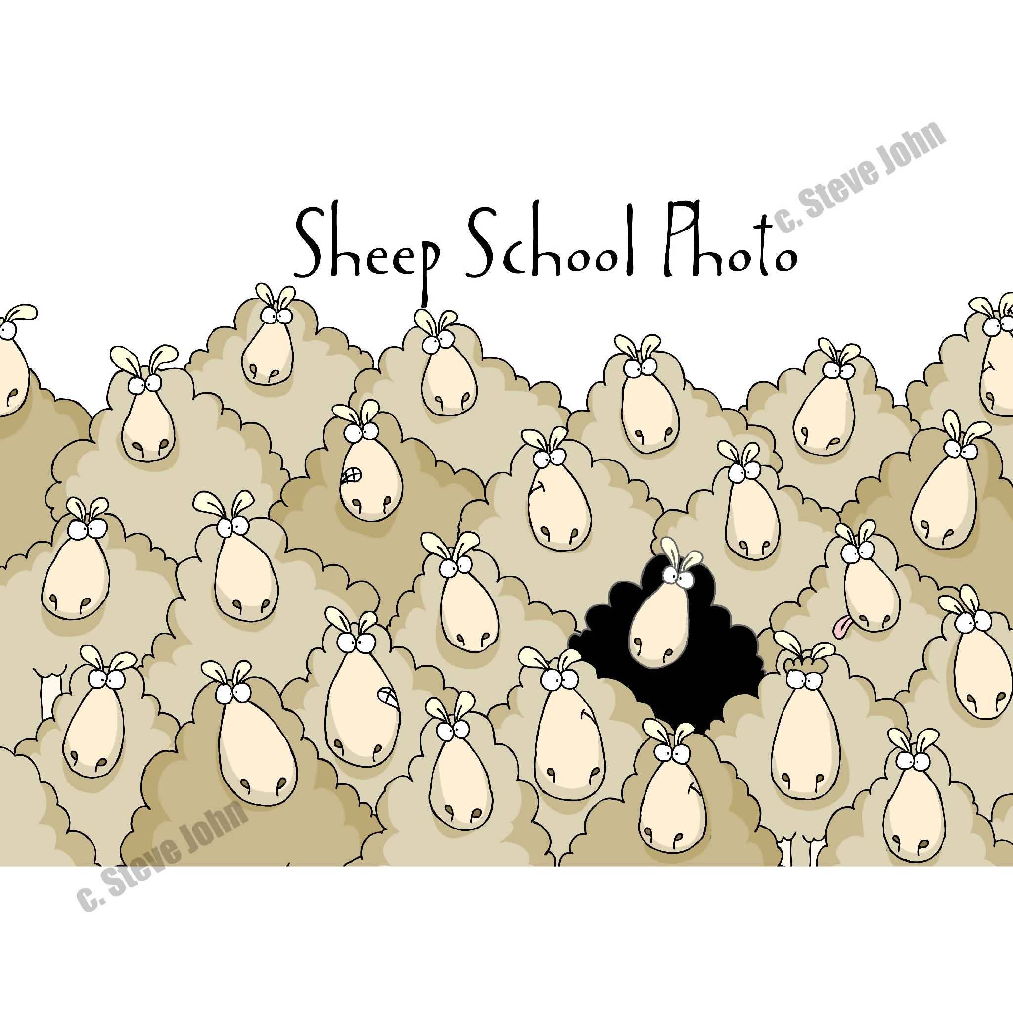 SHEEP SCHOOL PHOTO card