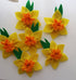 Six Daffodil Brooches