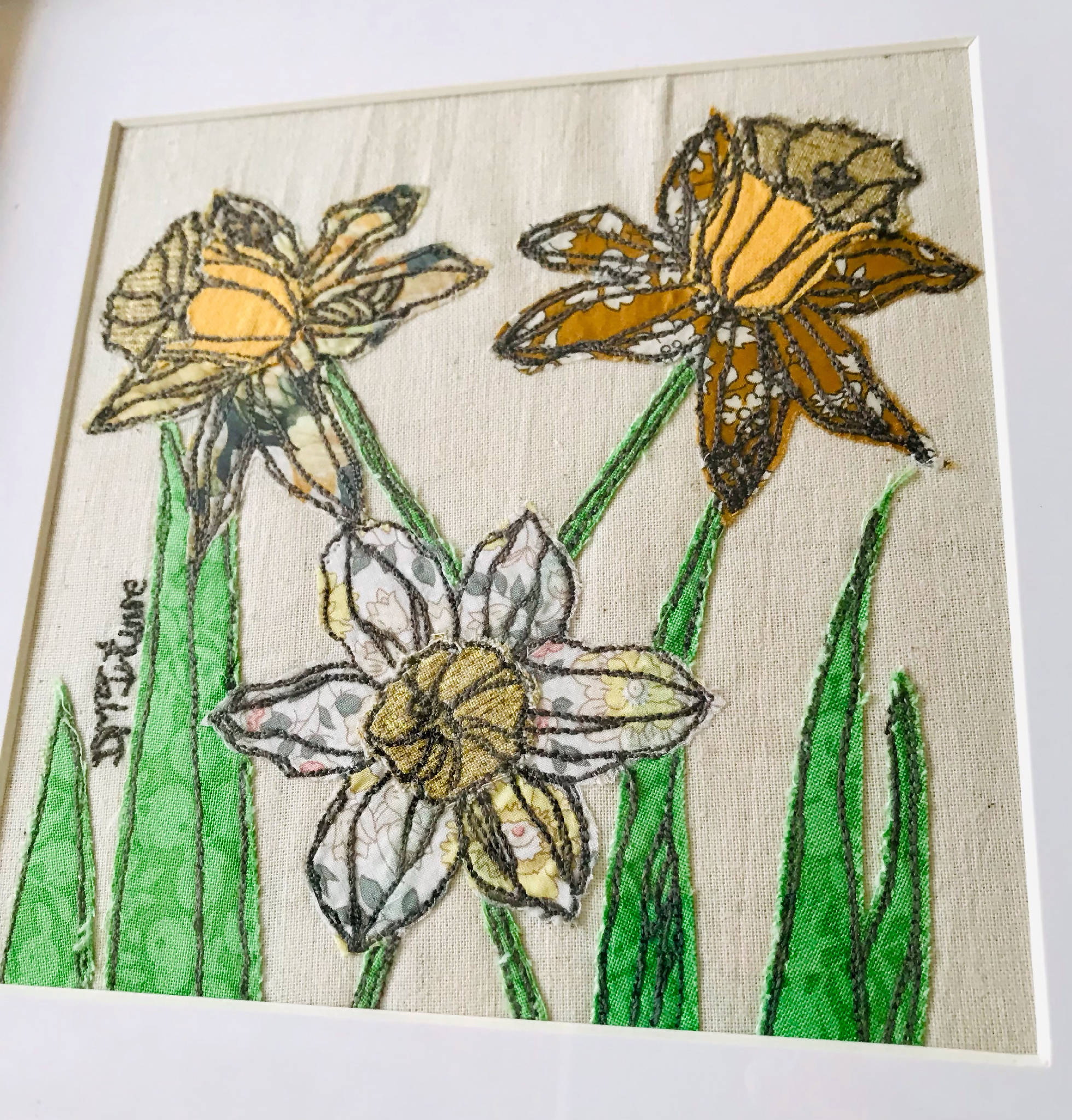 Daffodils (Medium)