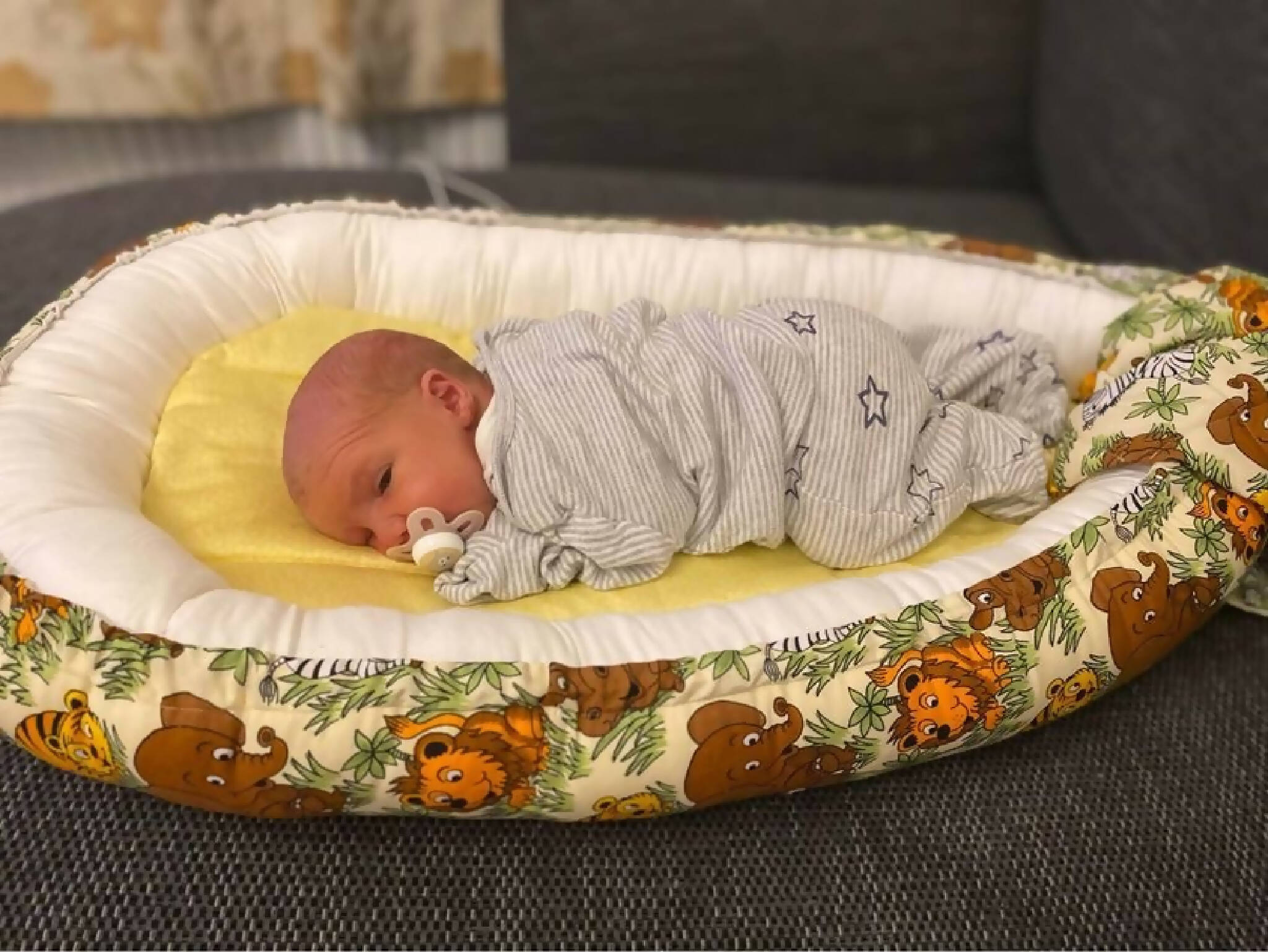 Baby Nest with extra mattress pad