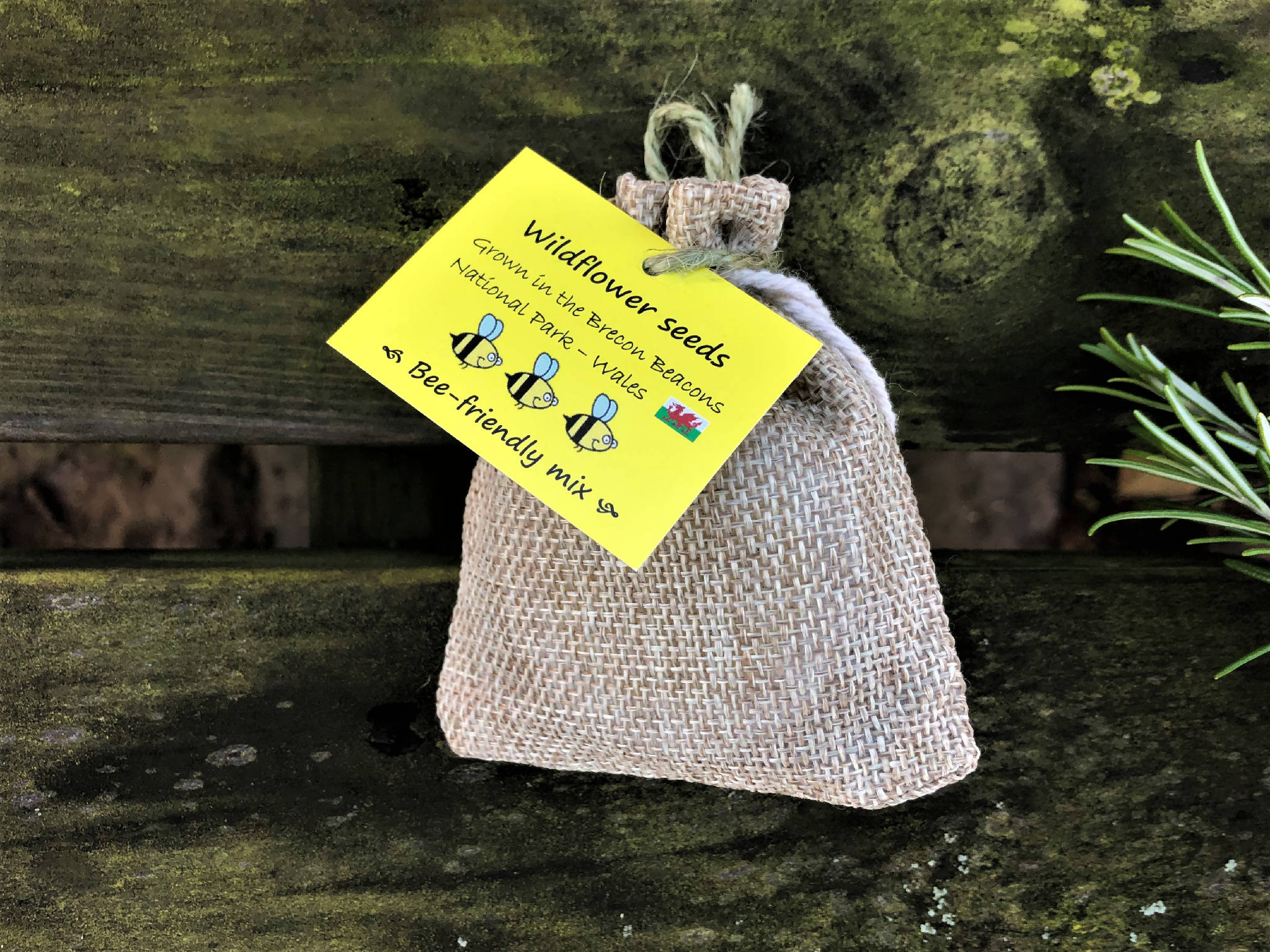 Tin of wildflower seeds in jute gift bag. Grown in Wales - lovely gift!