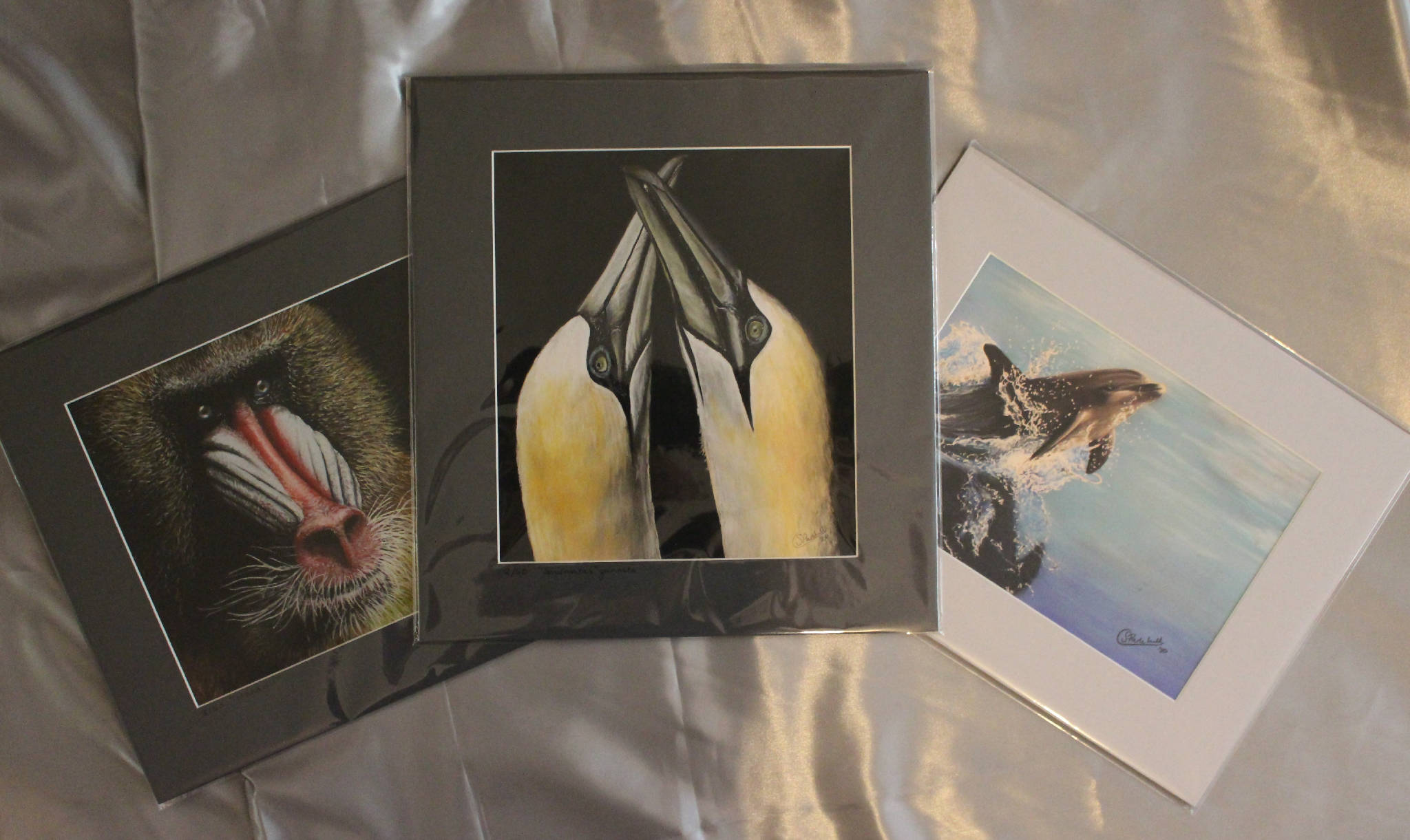 "Soul Mates" Gannets Limited Edition Giclee Print
