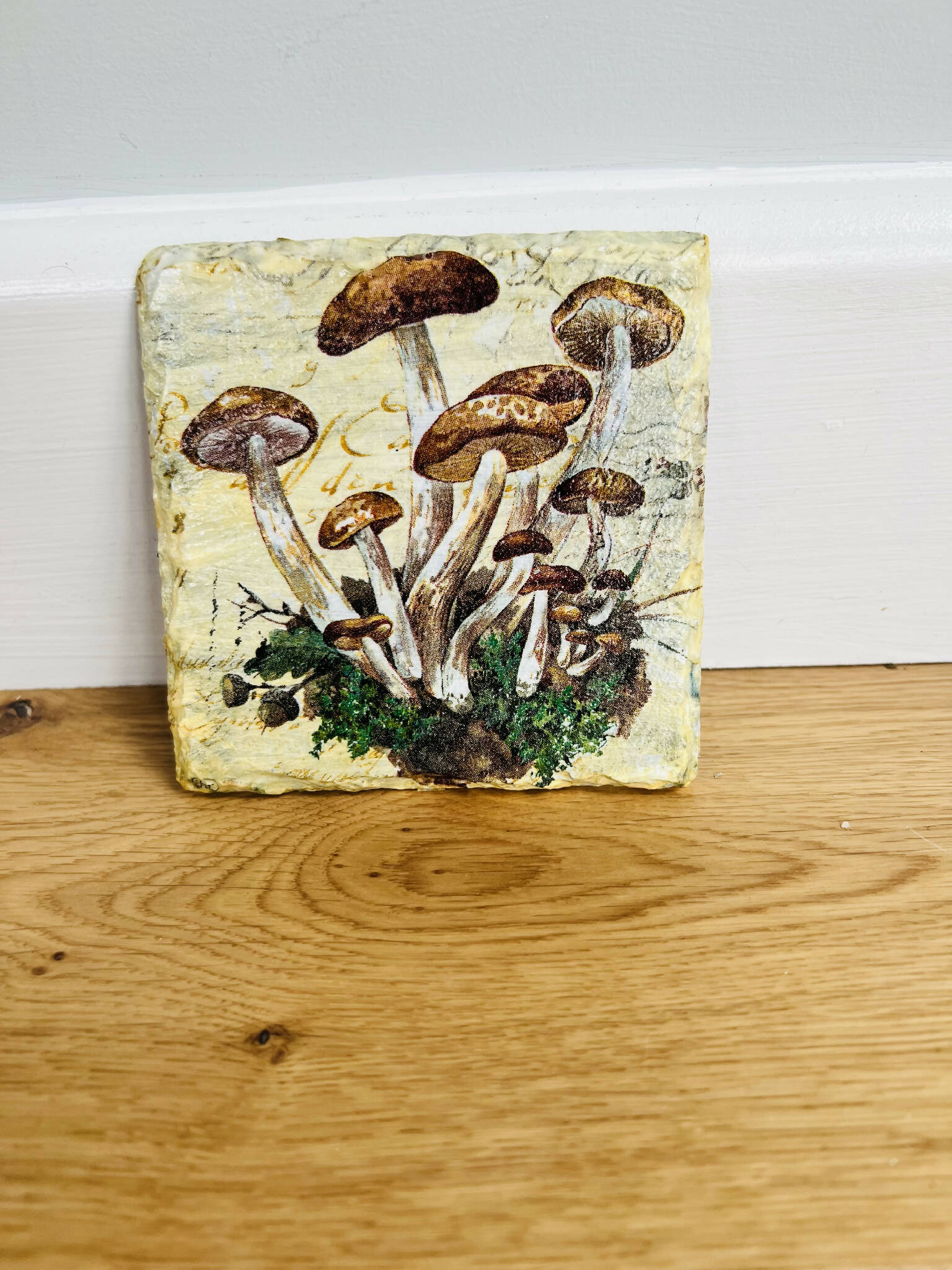 Mushroom coasters