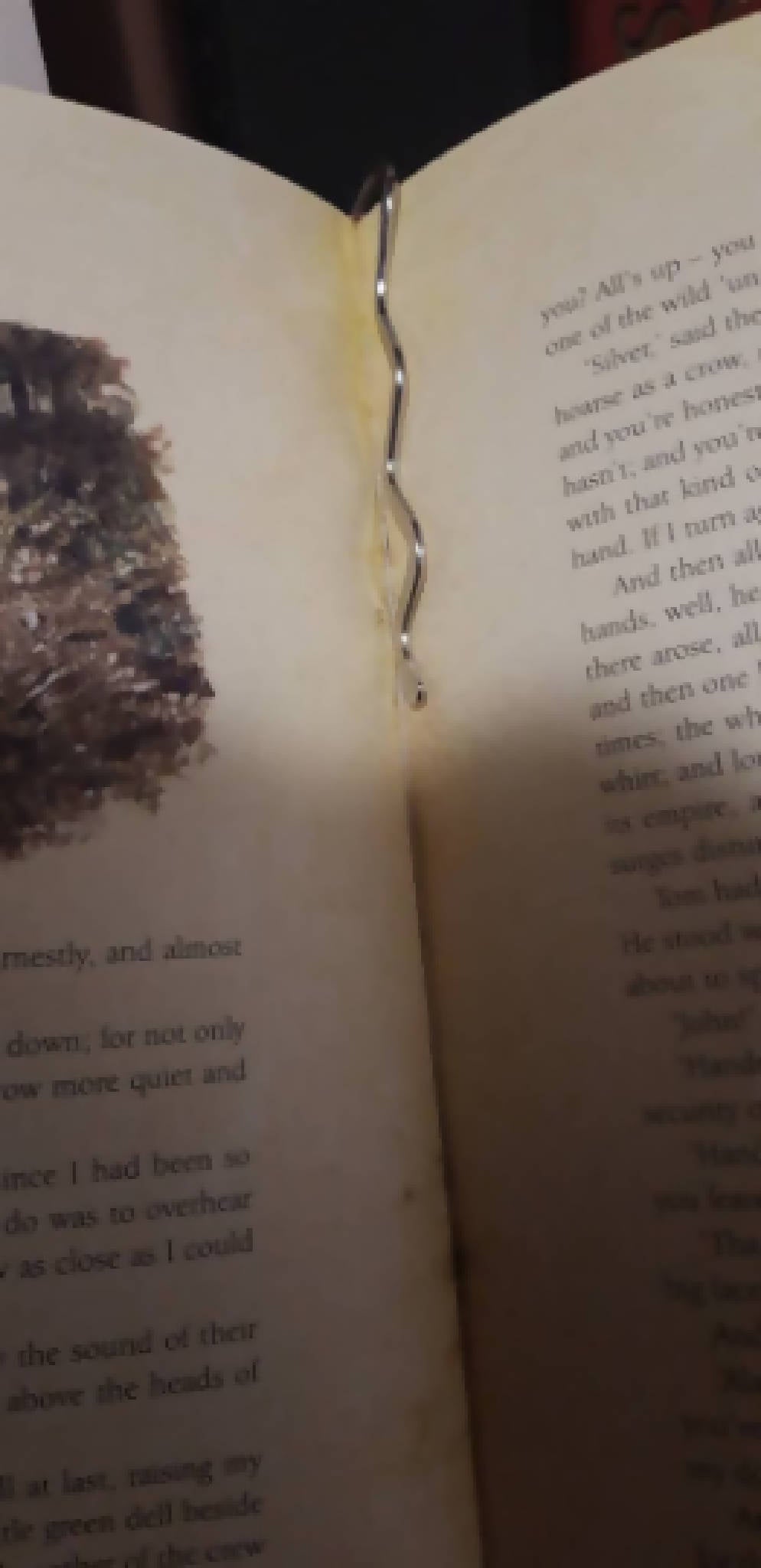 "Read" bookmark