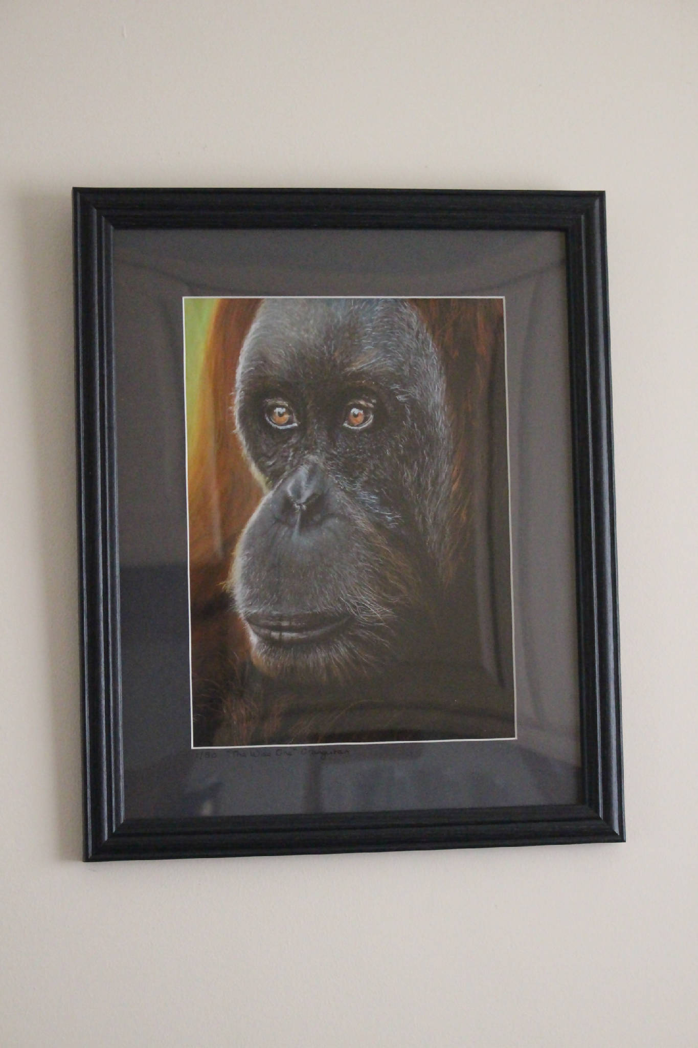 "The Wise One" Orangutan Limited Edition Giclee Print