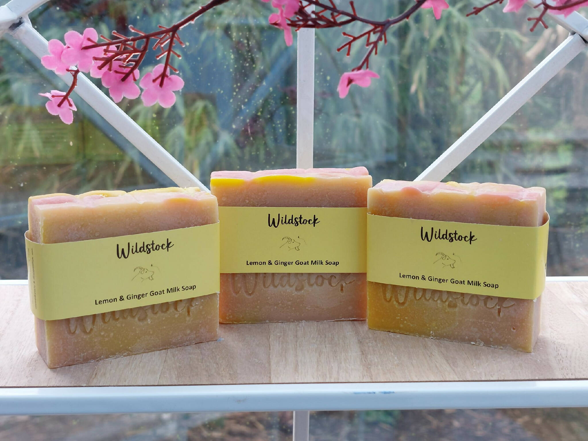 Wildstock 'Feeling Tropical' Goat Milk Soap Collection