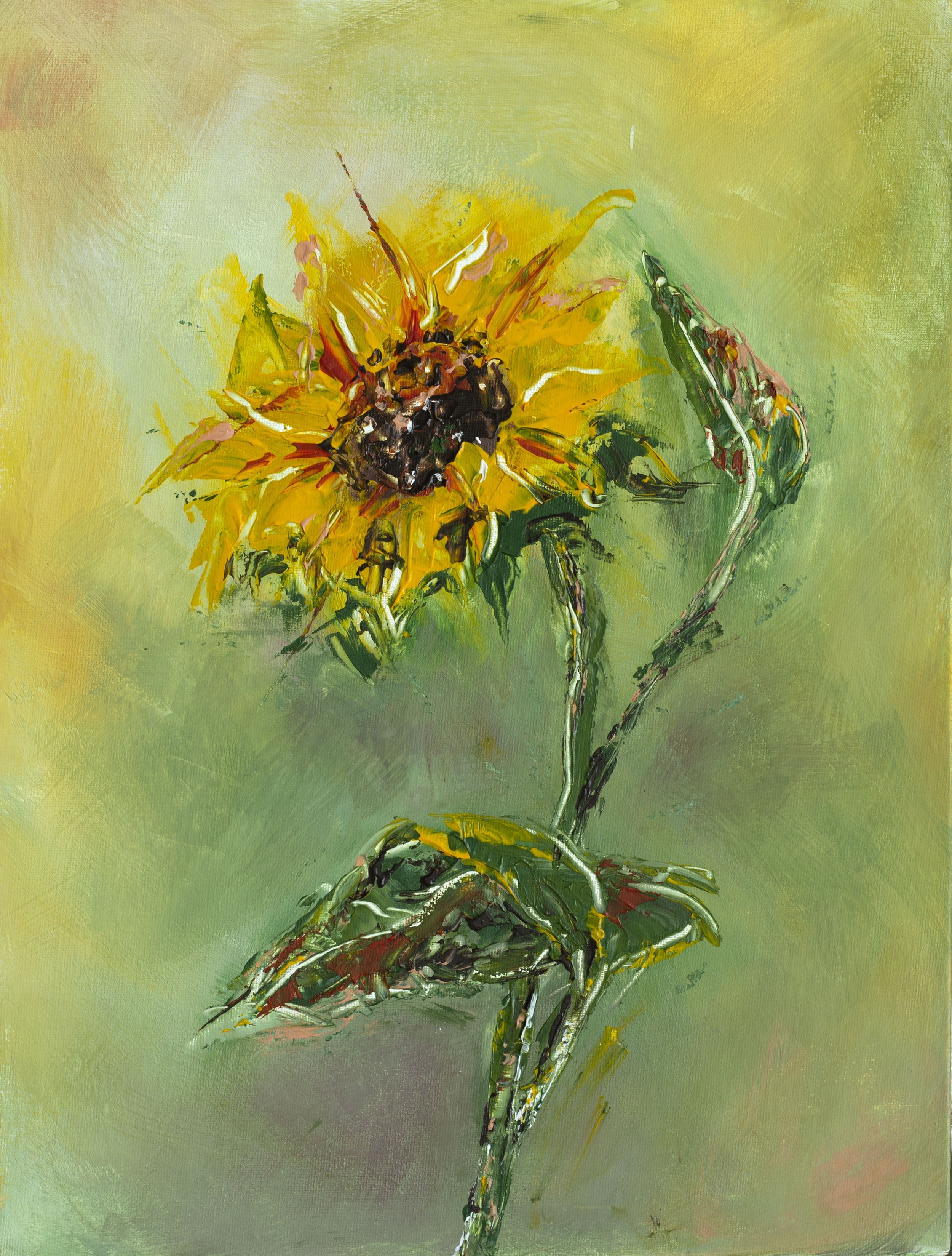 Single Sunflower Giclee Print