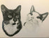Graphite custom pet portrait drawing sketch