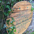 Mandala On Pallet Wood