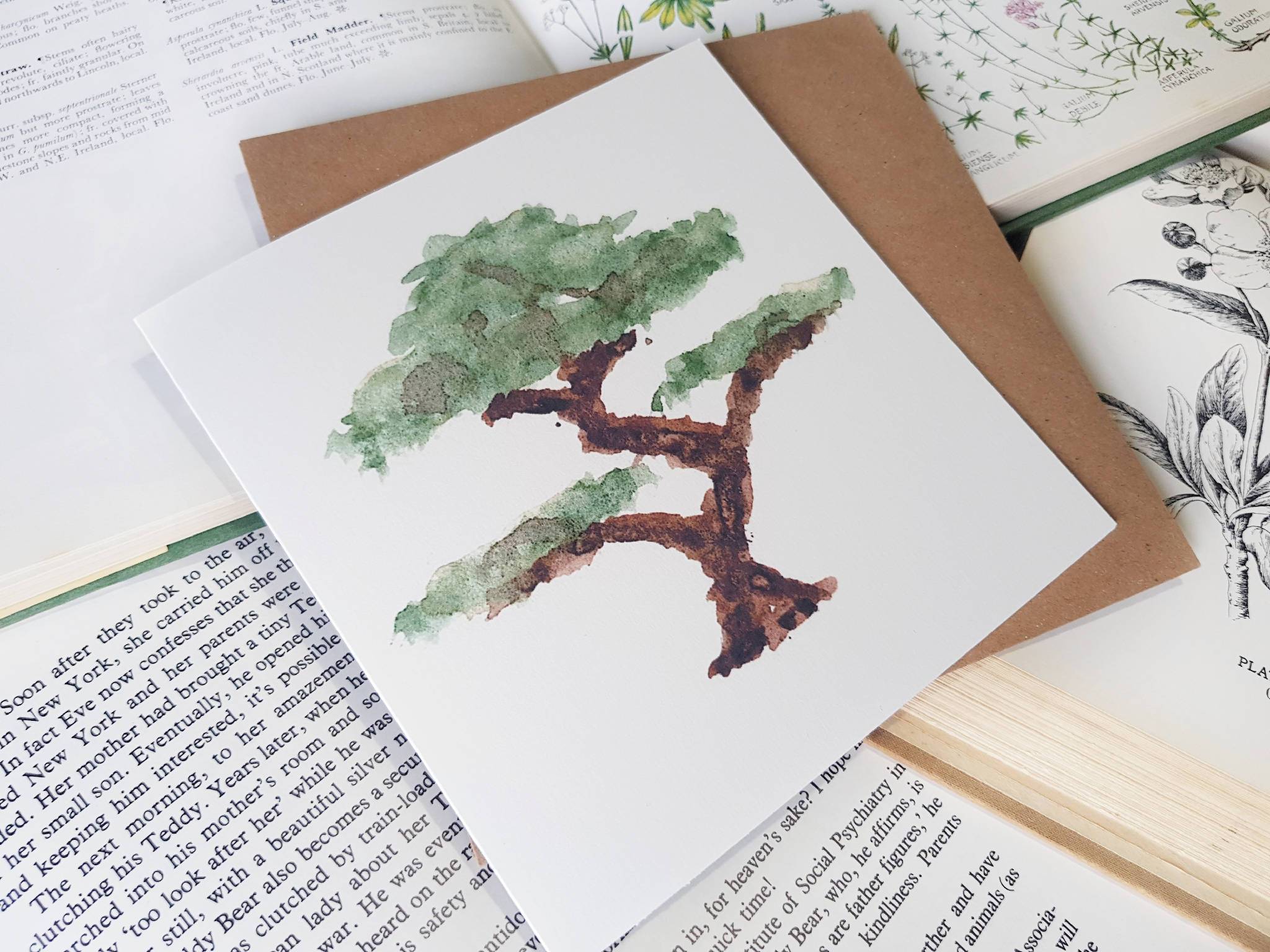 Greetings card of watercolour print of a bonsai tree