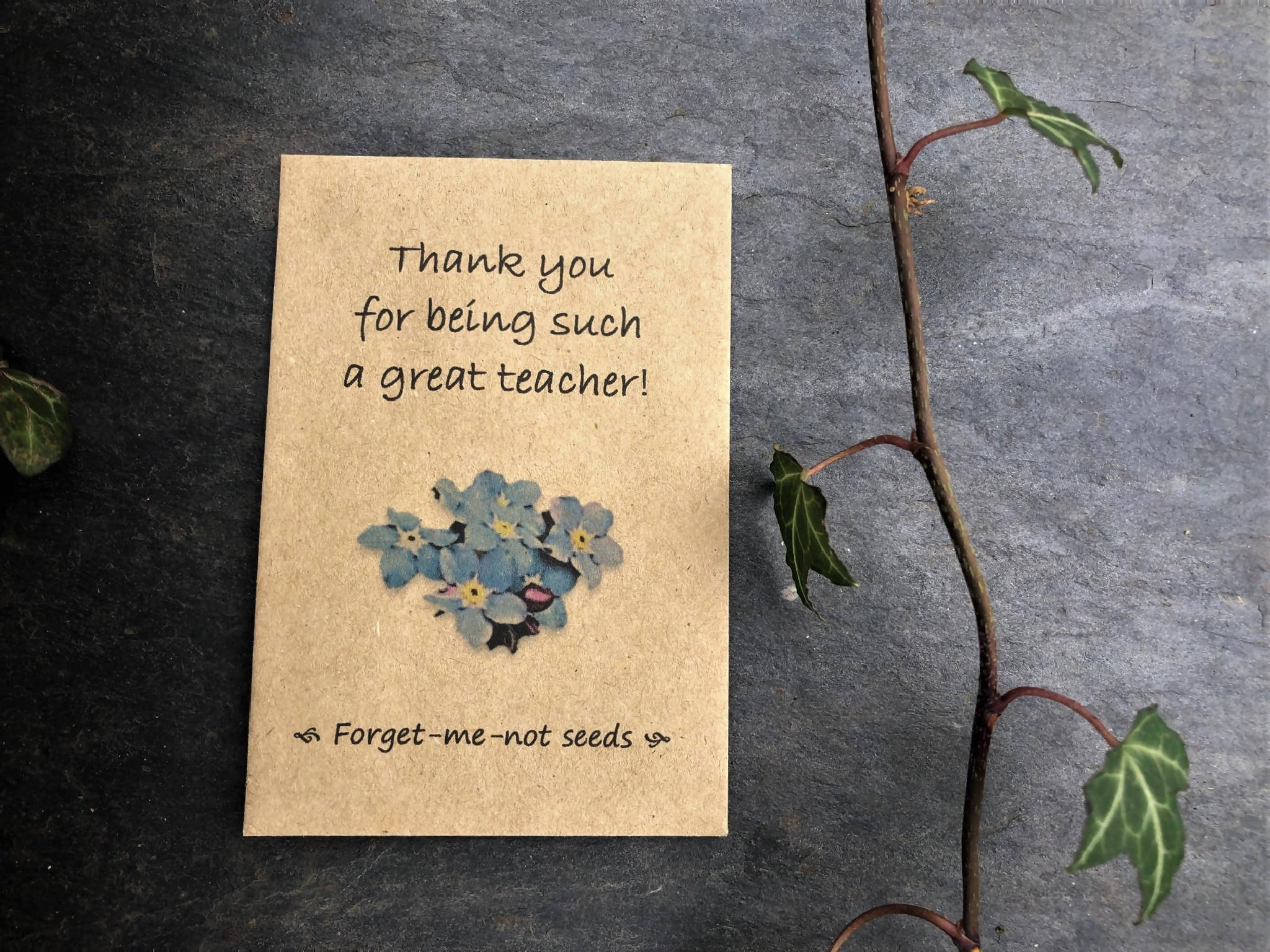 Teachers Gifts, Teachers Presents, Thank you seeds, Thank You Presents, Thank you gifts, forget-me-not seeds, wildflowers seeds, seed gifts, teachers seeds