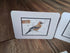 Notelers x 4 off, birds, Robin, Jay, Bullfinch and Barn owl