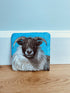 Sheep slate coasters x 4