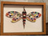 Framed dragonfly quilled art