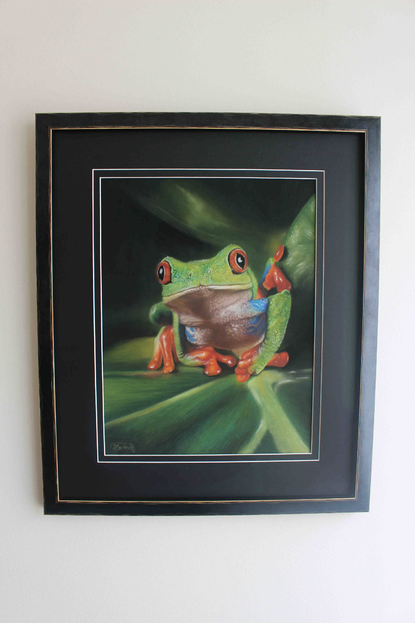 Original painting Red Eyed Tree Frog