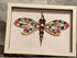 Framed dragonfly quilled art