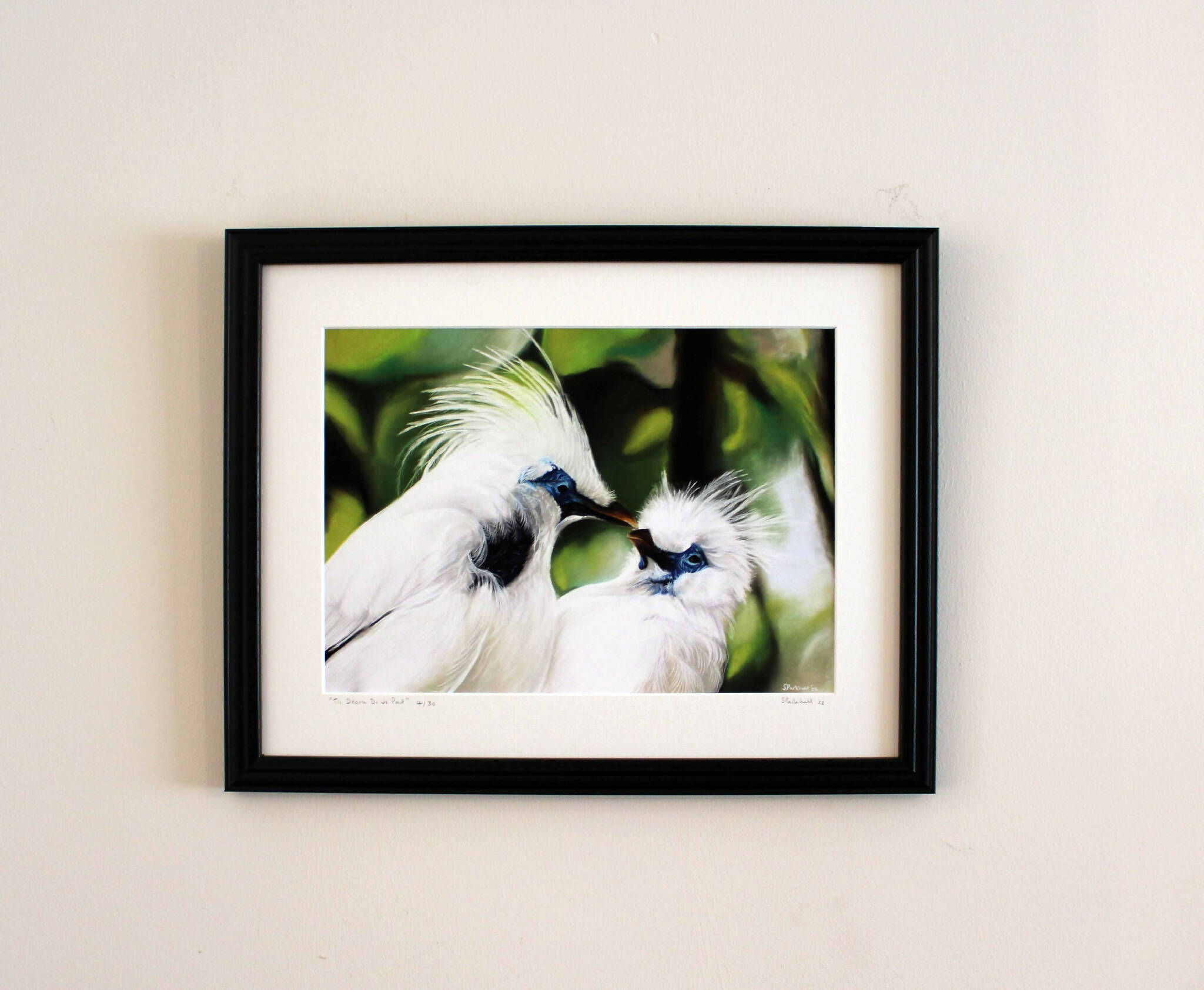 Bali Starlings Limited Edition Print - Till Death Do Us Part