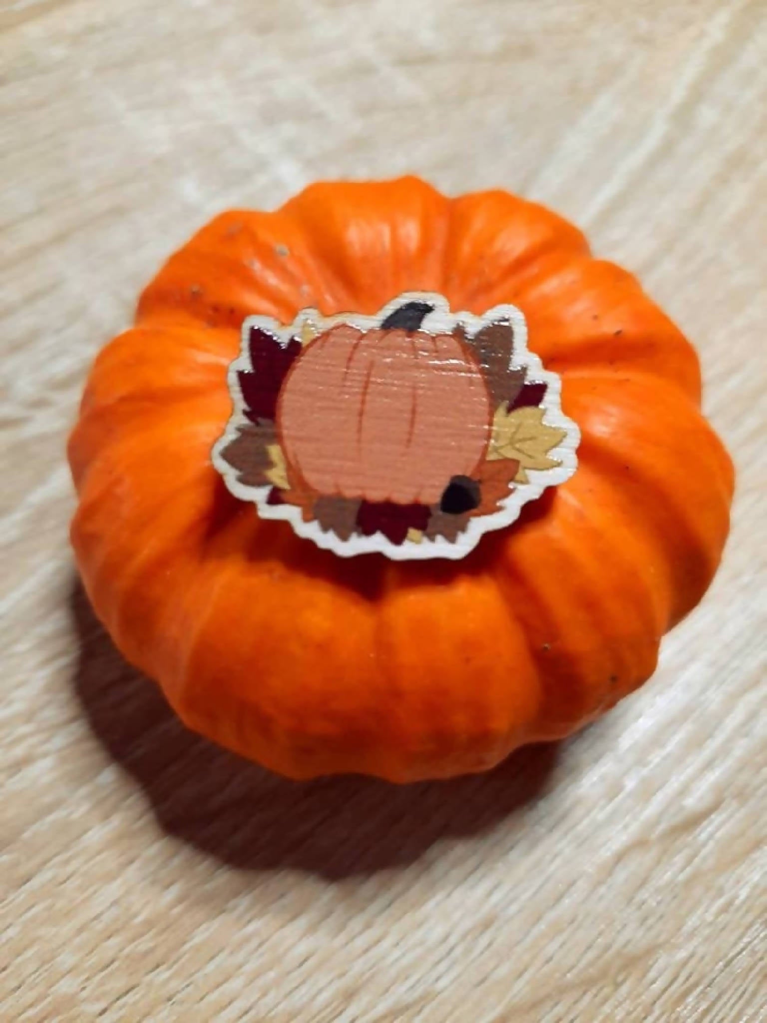 Autumn Pumpkin wooden pic