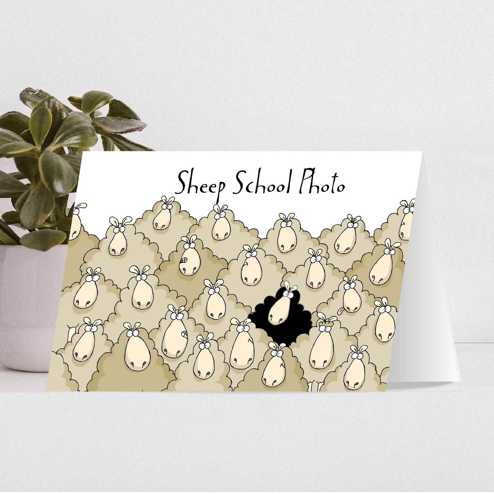 SHEEP SCHOOL PHOTO card