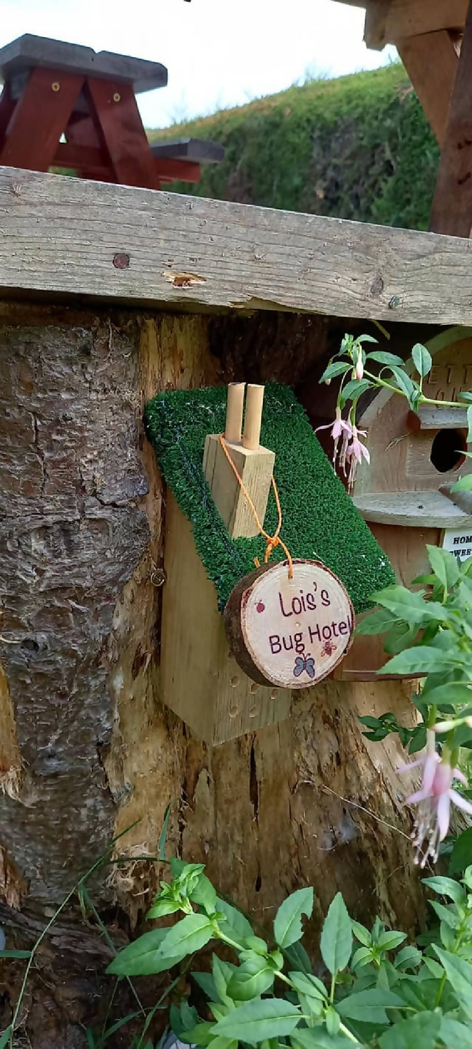 Personalised Bug Hotel wood sign