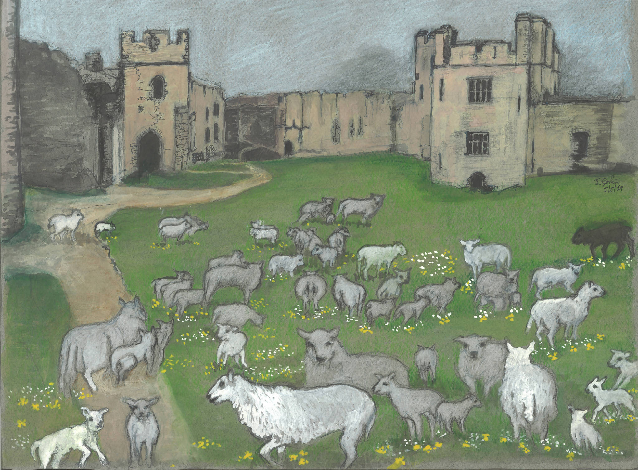 Chepstow Castle Sheep