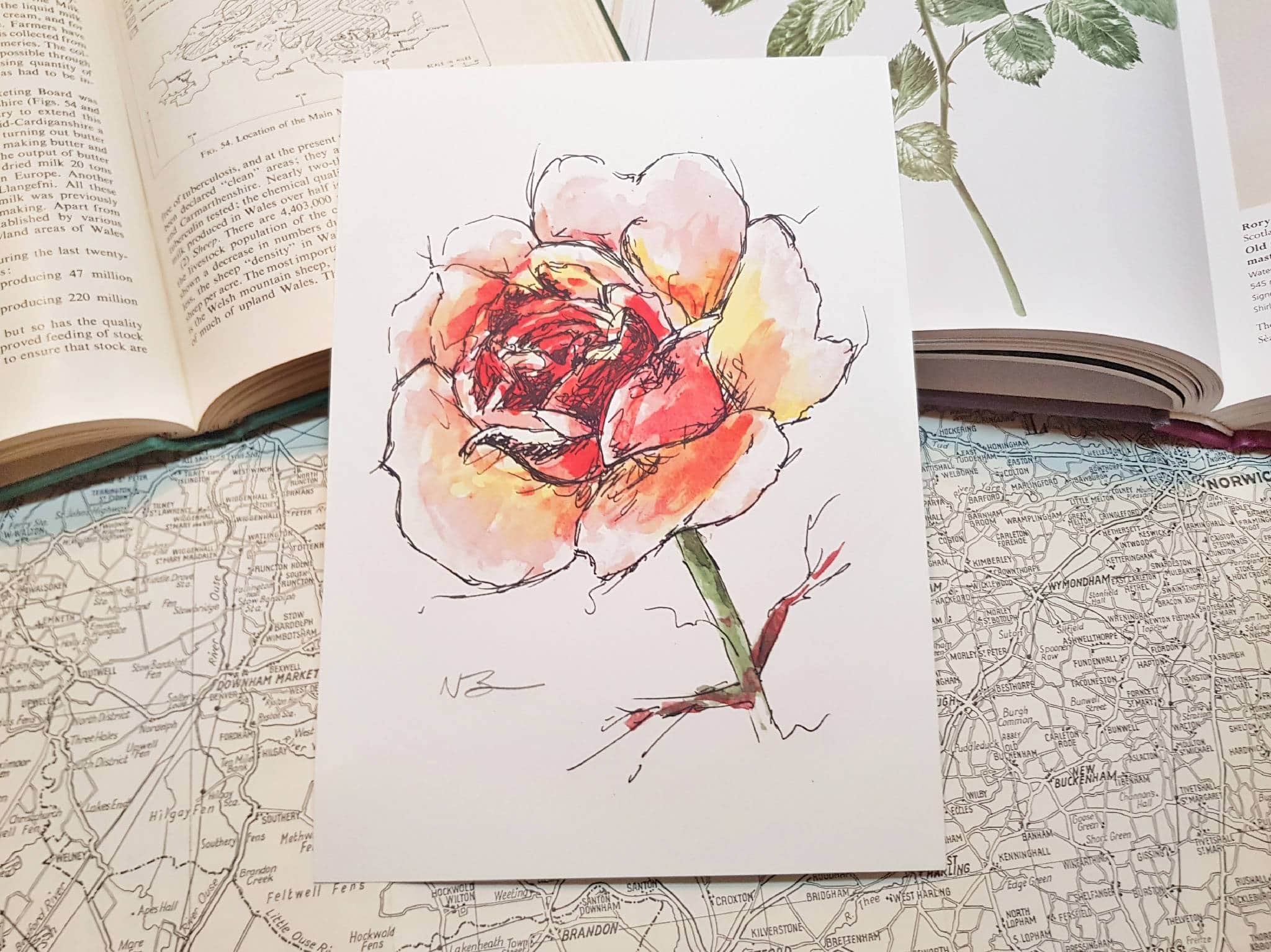 Hand-painted watercolour print of a large rose