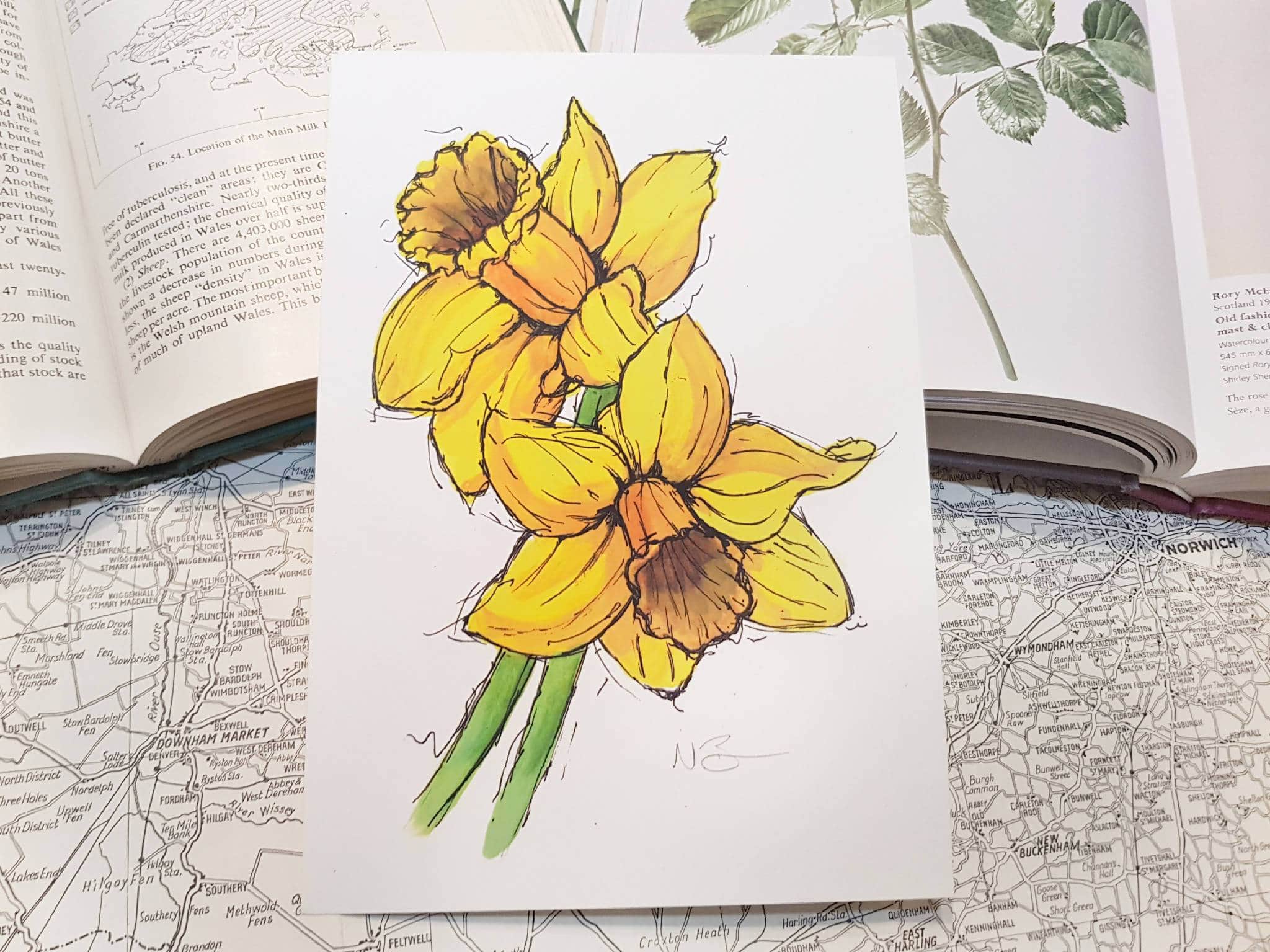 Hand-painted watercolour print of daffodils