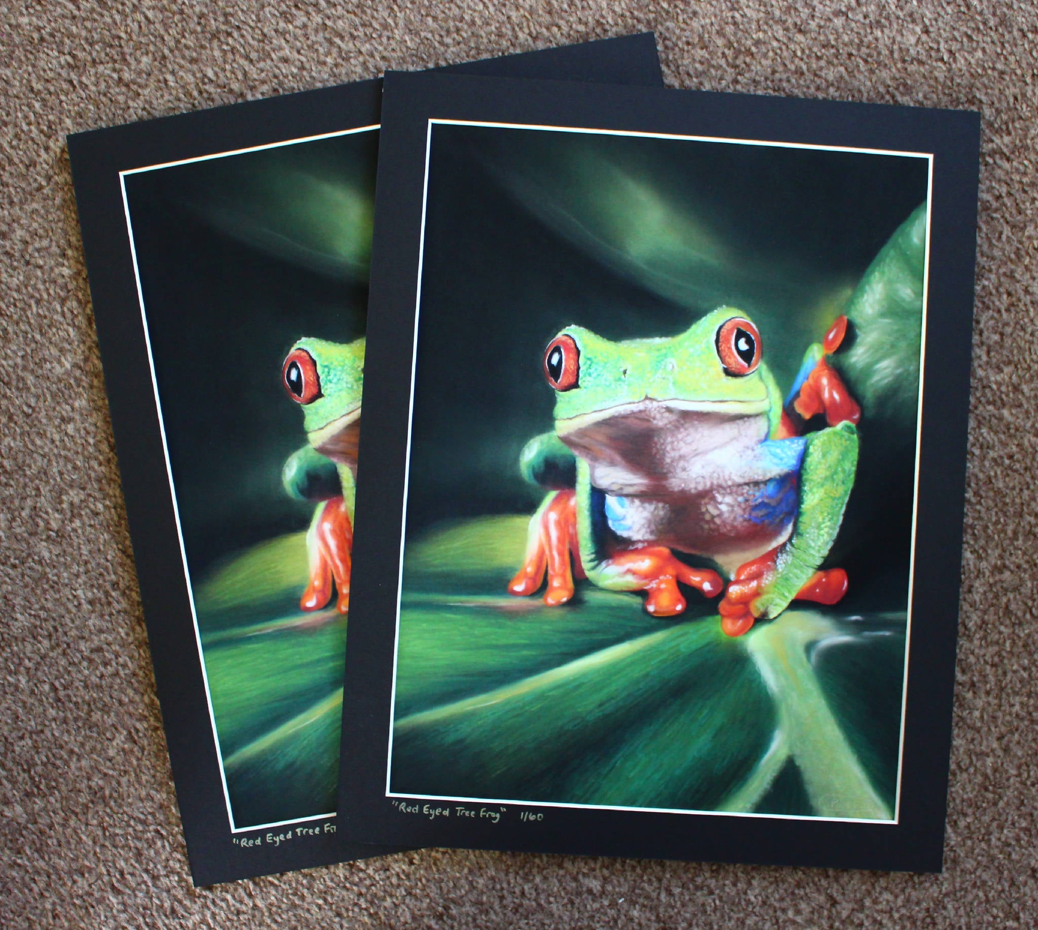 Limited Edition Giclee Print "Red Eyed Tree Frog"